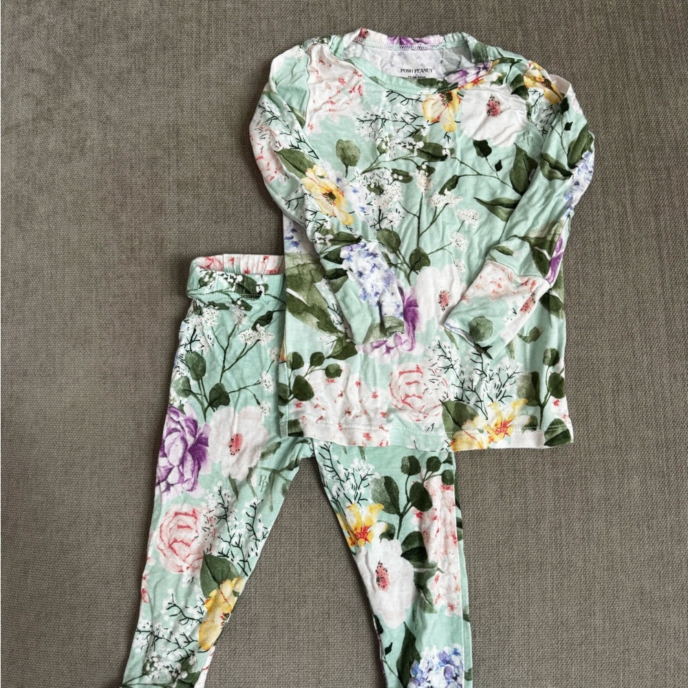 Posh Peanut Floral Kids Pajamas Set